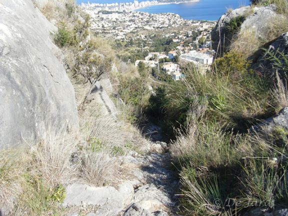 2012_03070037.jpg