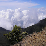 The view from Gede summit (Daniel Quinn, June 2009)