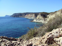 IMG_5164.JPG Photo