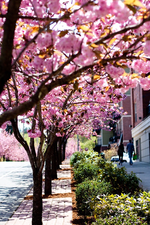 [20110501-IMG_84793.jpg]