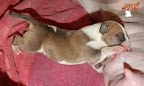 Boy 3 - 2 days