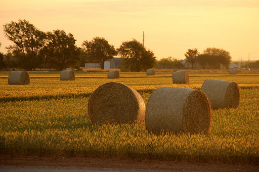 Sunrise in Texas