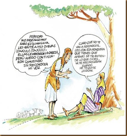 Imagen9