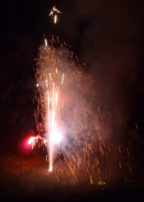 IMG_2335 IMG_2335