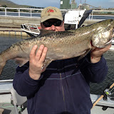 Spring Chinook Salmon from the Clearwater River in Idaho
