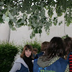 IMG_0687.jpg