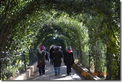 DSC_2163 DSC_2163