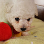 IMG_6601.jpg