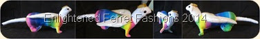 RainbowFerret