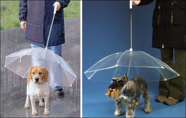 creative-umbrellas-15 creative-umbrellas-15