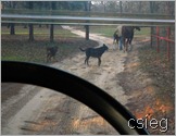 DSCN4326 DSCN4326