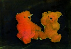 Split-Toned-Prints---Bears-2-E
