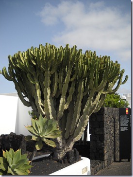 Lanzarote mare 457