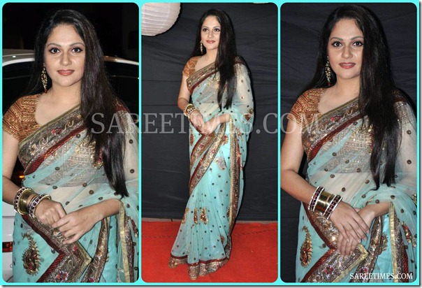 Gracy_Singh_Shimmer_Saree