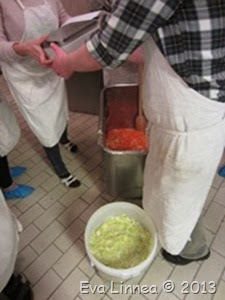 IMG_8320 IMG_8320