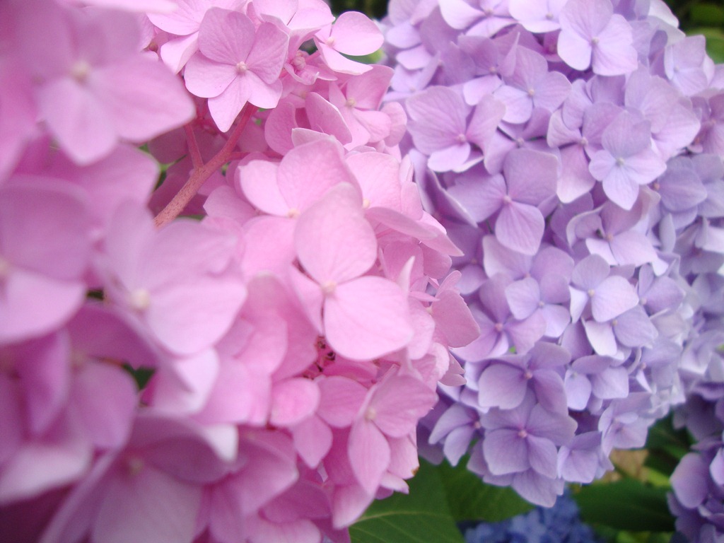 [DSC03921%255B3%255D.jpg]