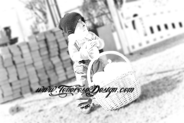 [IMG_7292%255B5%255D.jpg]