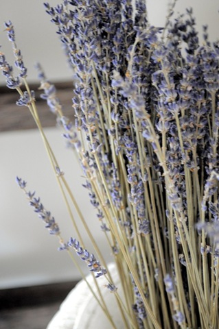 [lavender%2520and%2520ladder%255B4%255D.jpg]