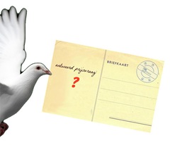 duif met briefkaart