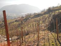 111227 L'Annunciata da Angone 058.JPG Photo