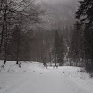 Tura Cheile Rasnoavei, 5 ianuarie 067.jpg