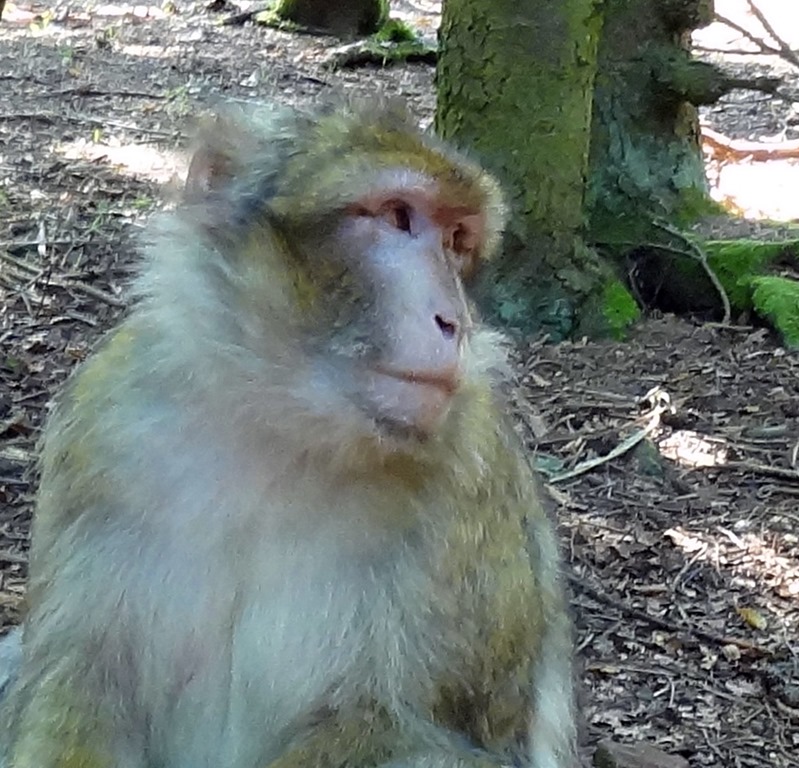 [DSC09682%2520%2528839x806%2529%255B5%255D.jpg]