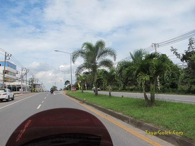 [IMG_68383.jpg]