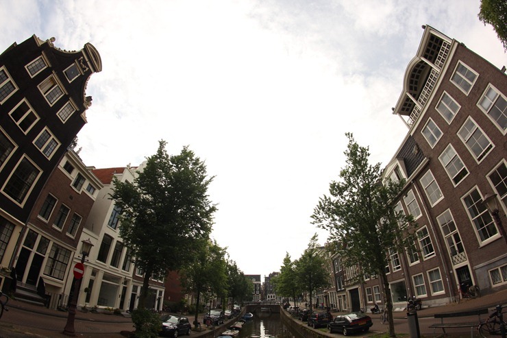 IMG_2439 IMG_2439