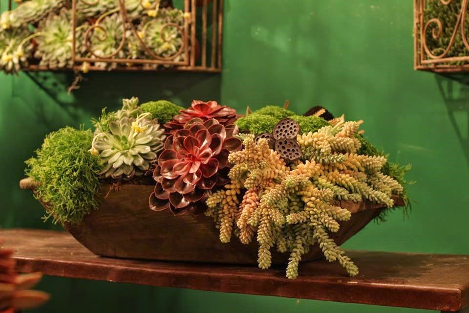 [succulents-MG-Floral-Design-1912023_.jpg]