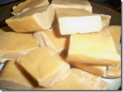 fudge04 fudge04
