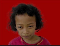 seleksi rambut seleksi rambut
