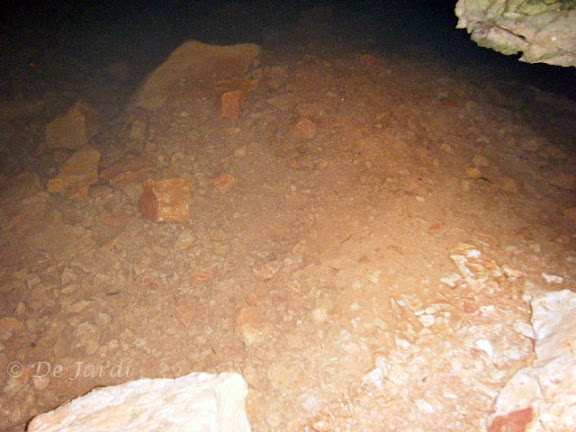 2012_09250063.jpg