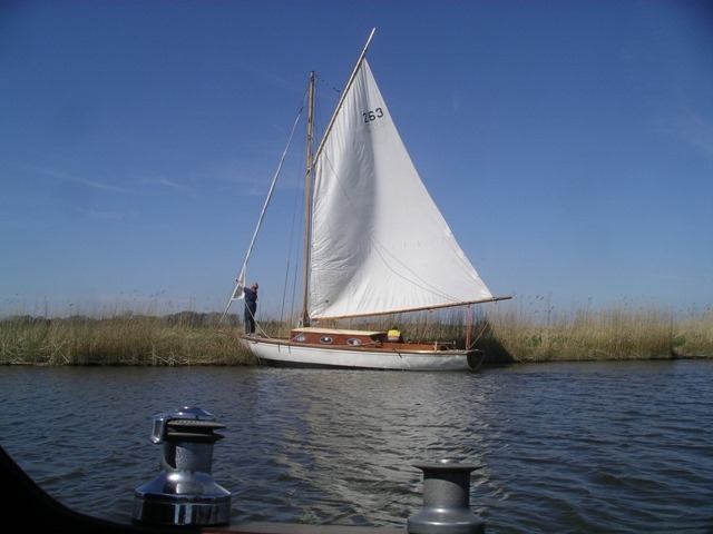 IMGP4437