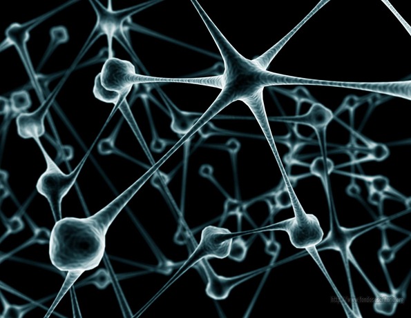neuronas1