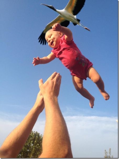 viral-picdump-pics-5