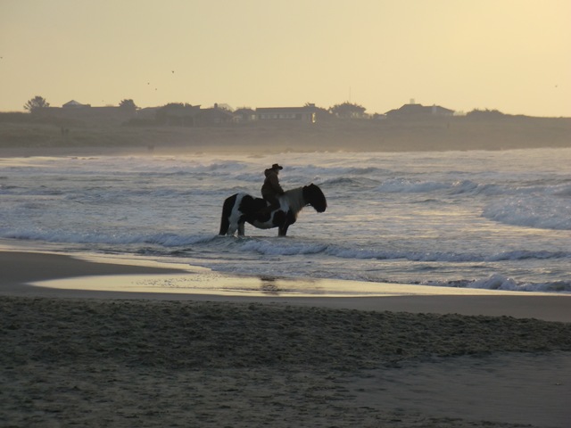 [november420110103.jpg]