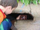 IMG_7420.JPG
