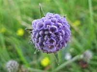 IMG_1552 IMG_1552