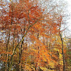 DSC_0307.jpg