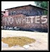 NO_WHITES_SIGN_SOUTHAFRICA2008