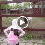 P1090687.MOV