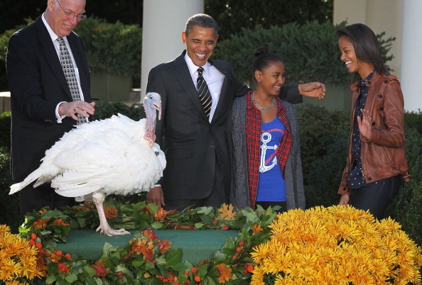 [turkeys%25203%255B4%255D.jpg]