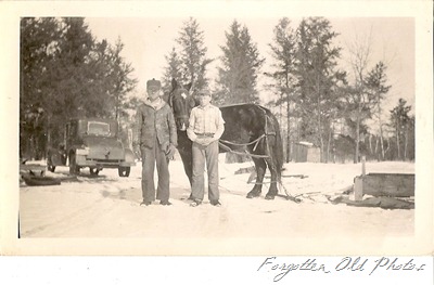 Model T coupe 1928 or29 Horse with stone boat going logging