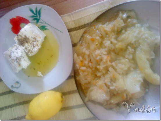 kupus sa rizom8 kupus sa rizom8