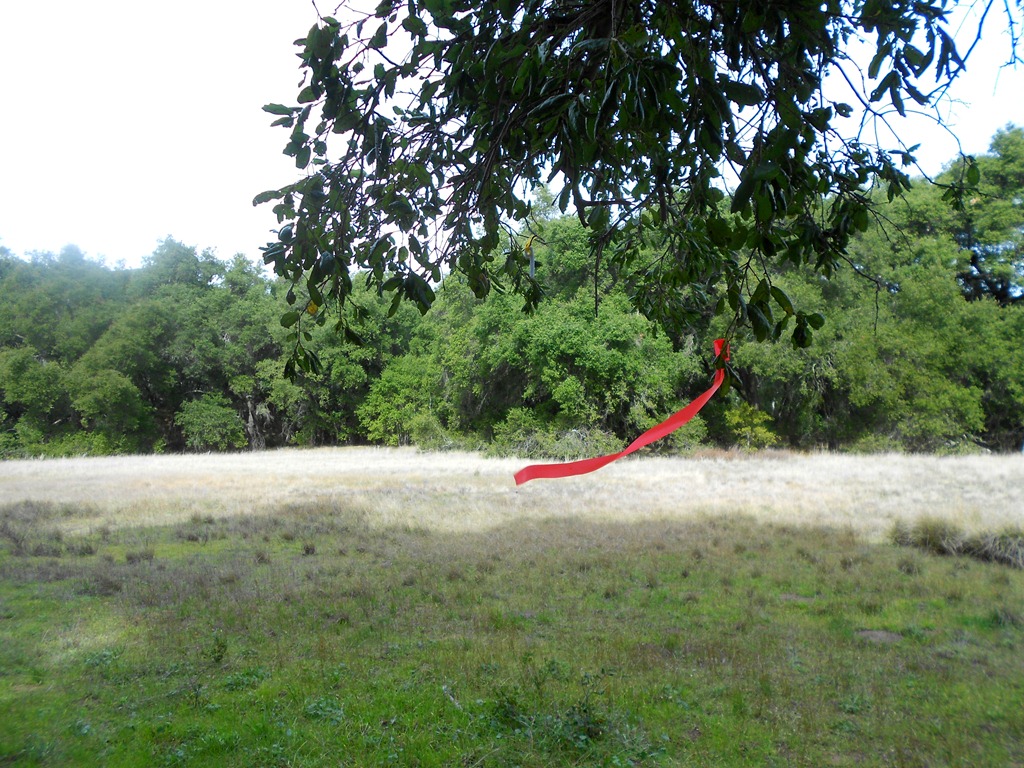 [DSCN22204.jpg]