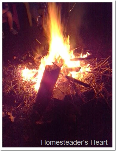 bonfire