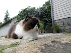 I mean, look at him just sitting there, oblivious to the world.