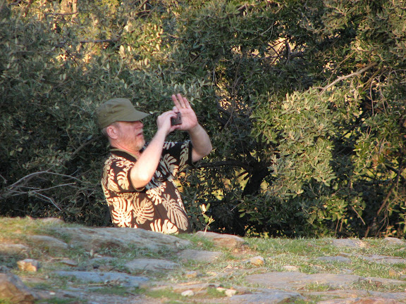 bongo capturing the great view