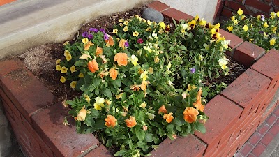 2014-07-01 08.26.06.jpg
