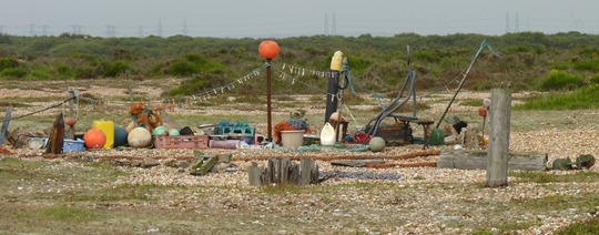 dungeness sept 2011 029